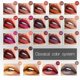 thumbnail image 5 of Pudaier 21 Colors Lipstick Matte Cosmetic Waterproof Long Lasting Pigment Velvet lip stick Brand Sexy Lip Matte Nude Lip stick, 5 of 5