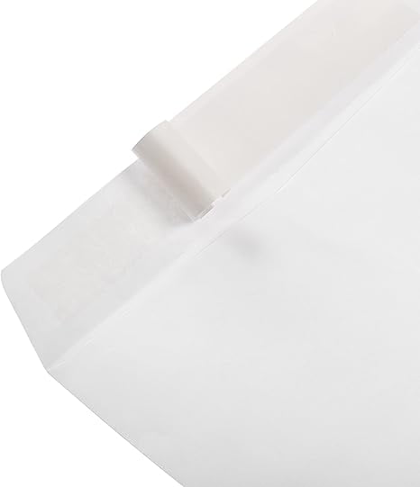Catalog Mailing Envelopes, Self-Seal,10x13 Inches, Pack of 100, White