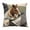 C-2C Home Decor, variant on karymi Funny Cow Horse Workhorse Office Livestock Novelty Pillow Cover 18x18 Inch Double Sided Printed Desk Chair Humor Gift for Coworkers Gift Idea Bedroom Decor
