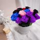 thumbnail image 3 of Flores preservadas Yamonic Rose Gift, 5 tallos, 31 cm, 3 of 8