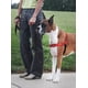 thumbnail image 2 of Arnés para perros PetSafe Easy Walk Deluxe No Pull Rose M/L, 2 of 7
