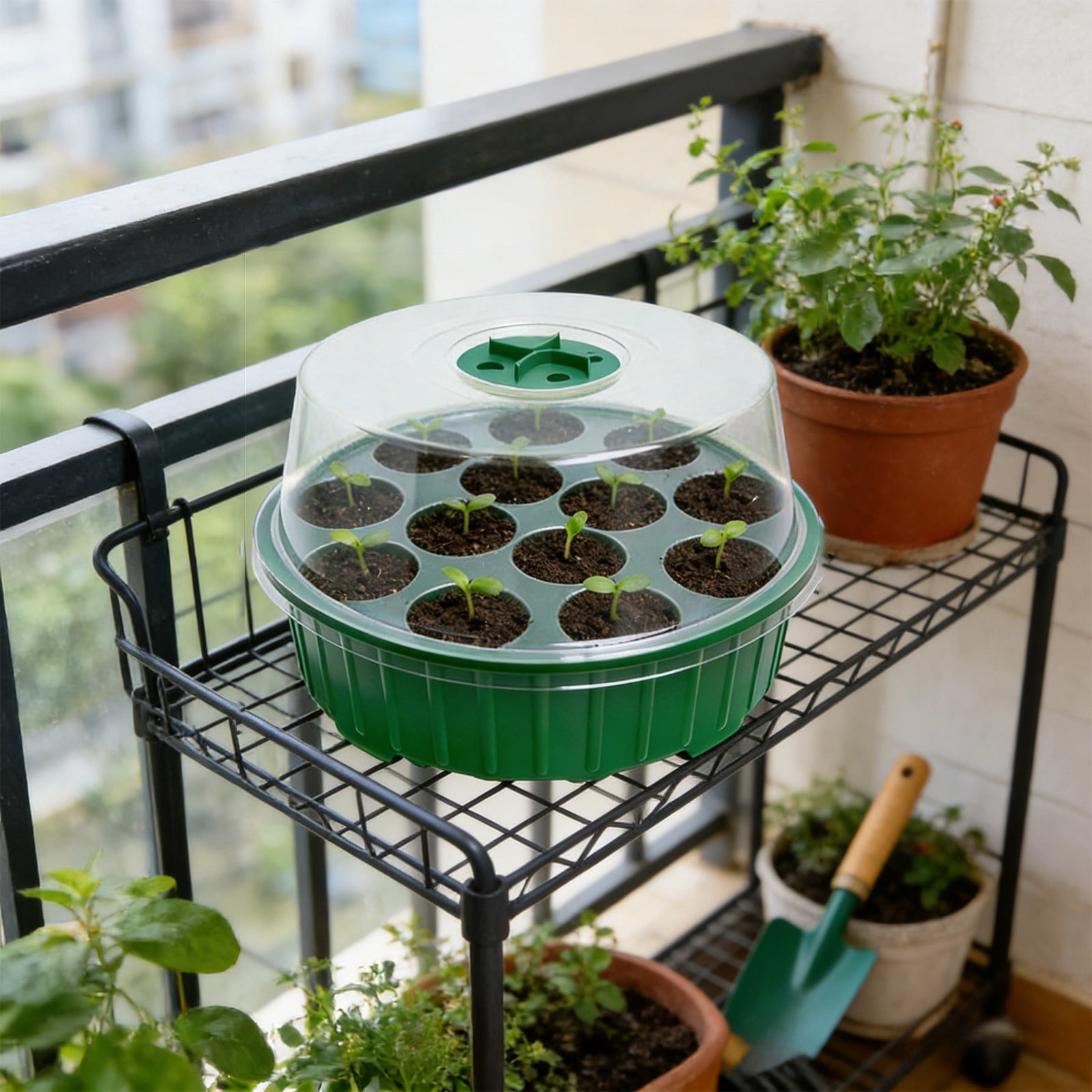 Seedling Trays Seed Starter Tray, Mini Propagator Plant Greenhouse with Humidity Vented Domes and Base