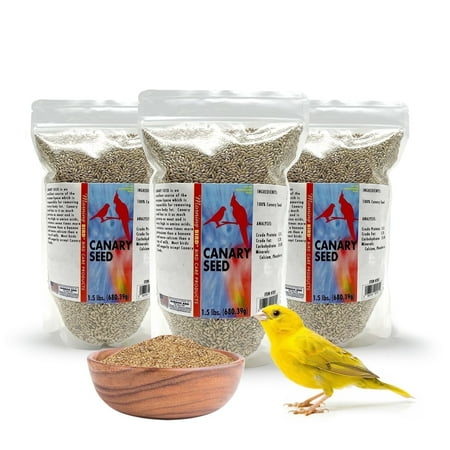 Morning Bird Canary Seed – Nutritional Rich in Vitamins and Supplements for Birds – Ideal for Healthy Feathers and Strong Bones Seed for All Birds Type 4.5 lbs (3-Pack, 1.5 lbs Each)