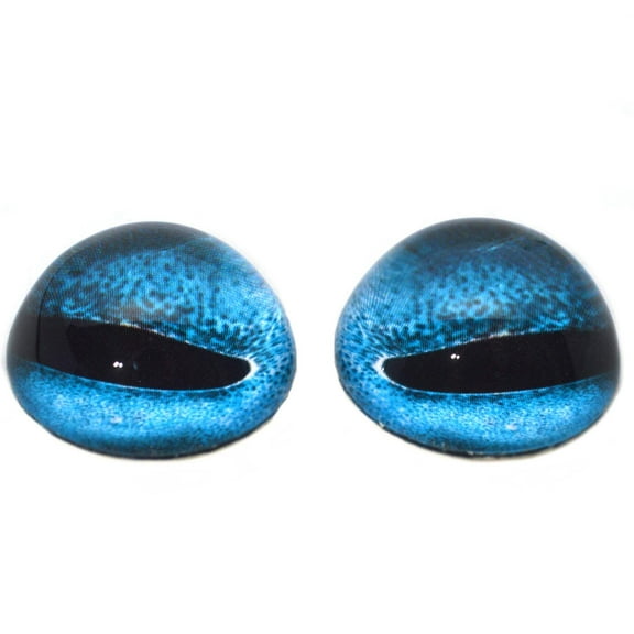 High Domed Blue Octopus Glass Eyes