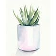 thumbnail image 2 of Parker, Jennifer Paxton 12x14 Gold Ornate Wood Framed with Double Matting Museum Art Print Titled - Potted Succulent III, 2 of 4