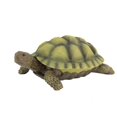 thumbnail image 1 of Design Toscano QM1887611 Lawn and Garden Resin Gilbert the Box Turtle Statue, 1 of 4