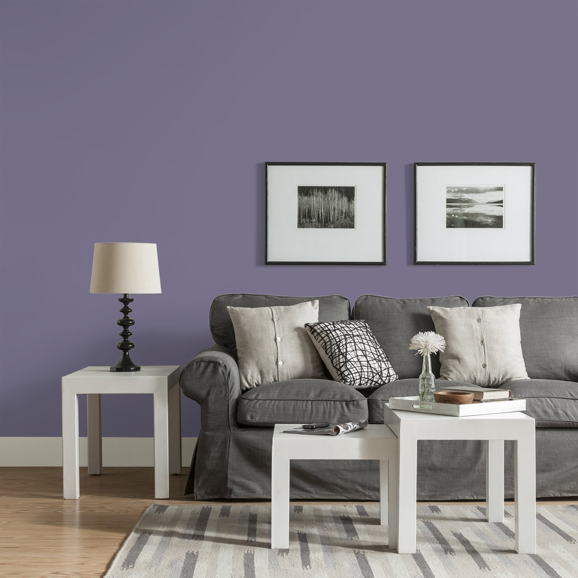 Glidden HEP Plum Shade / Purple, Eggshell Interior Paint with Primer, 1 Gallon