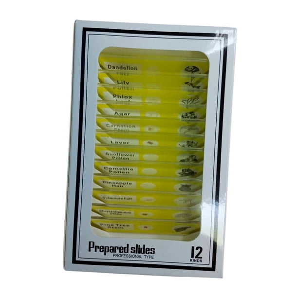 12 portaobjetos de microscopio preparados, educativos para niños, hogar y aula. amarillo
