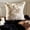 Gold & Beige, variant on Black & Gray Decorative Throw Pillow Covers 22"x22" | Contemporary Chenille Velvet Cushion Cover | Safari Boho Tiger Motif, Jungle, Lodge Style Pillowcases for Bedroom & Living Room - Midnight Safari