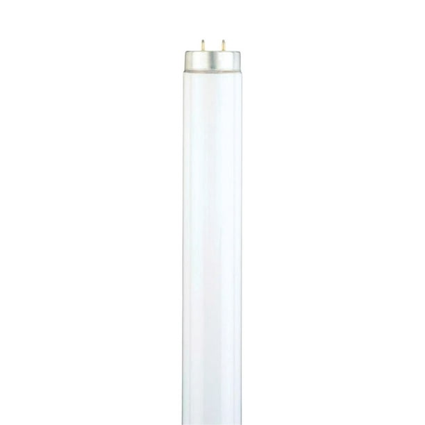 LFL BULB 40W T12 48" 2PK