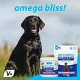 thumbnail image 2 of Vetnique Labs Dermabliss Omega & Skin Soft Chews, for All Dogs, Savory Salmon Flavored, 60 Count, 2 of 9
