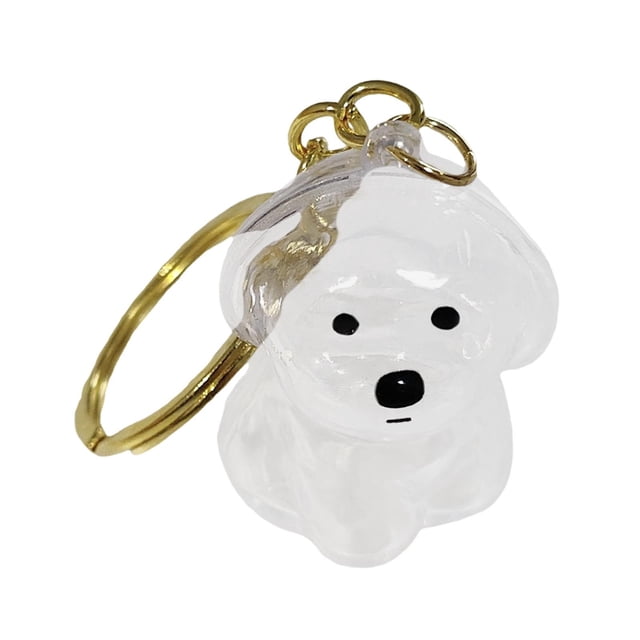 Llavero con forma de perro, compacto y transparente, para guardar el pelo del perro. Bichón frisé