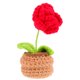 thumbnail image 1 of DIY Crochet Craft Crocheted Flower Decor Decoración de Home Diy para principiantes, 1 of 5