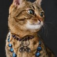 thumbnail image 4 of HAMPPLIES 1Set Metal Flat Ring Bell for Dog Collar Coffee 2.0In Fashionable and Cute Pet Accessories, 4 of 6