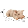 thumbnail image 5 of Hi- Line Gift 87686-A Statue de Cochon Endormi, 5 of 5