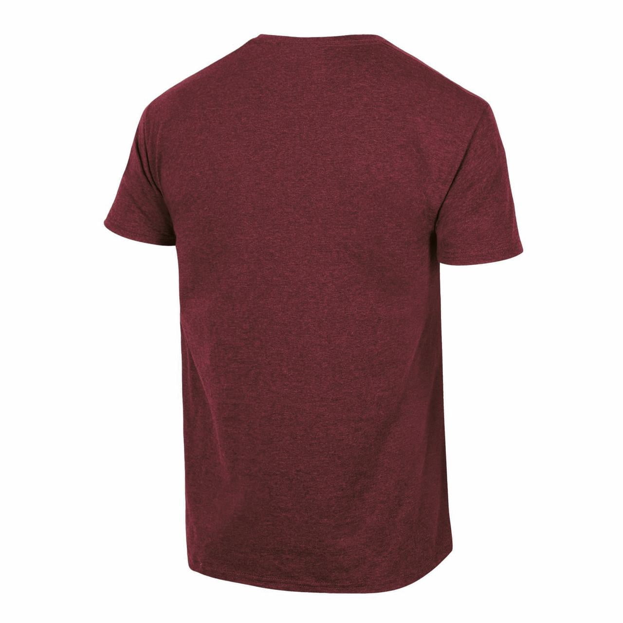 Mens NCAA Florida State Seminoles Triblend 3-D Graphic T-Shirt