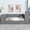 Gray, variant on Noble House Norton Twin Daybed with Storage Arms, Pull-Out Trundle and Built-in Charging Station, Gray
