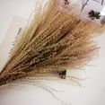 thumbnail image 2 of Flower Arrangement Dried Pampas Grass Real Plants Natural Herb Bouquet For Wedding Home Decoration Net Red Little Reed, 2 of 10