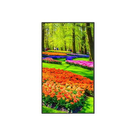 UPC: 0805736076868 | NEC Display Solutions 43 in. M Series LED-Backlit LCD Display – 4K for Digital Signage