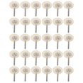 thumbnail image 1 of Garosa Mini Roue Brosse, Roue Brosse Bois, 30 Pcs Roue Brosse Plate Mini Outils de Polissage pour Découpe de Peinture/rouille, 1 of 8