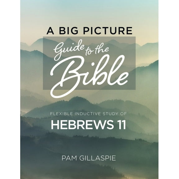A Big Picture Guide to the Bible: A Flexible Inductive Study of Hebrews 11, (Paperback)