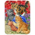 thumbnail image 1 of Carolines Treasures ASA2118LCB Chatons Planche à Découper en Verre-Grande, 1 of 1