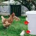 thumbnail image 4 of DIY 8 Pieces Poultry Waterer Kit Chicken Duck Goose Automatic Waterer New Type Poultry Drinking Bowl, 4 of 4