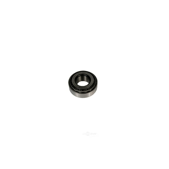 Differential Pinion Bearing