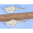thumbnail image 5 of Dangling Spiral Conch Shell Cut Seashell Ocean Witch Mermaid Nature Jewelry Earrings, 5 of 5