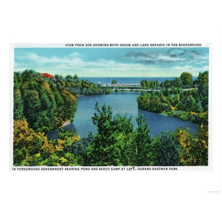 Rochester, NY - Rochester Zoo View of Lake Ontario and Durand Eastman Park Print Wall Art By Lantern