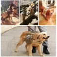 thumbnail image 2 of Mochila de senderismo para perros, arnés táctico de viaje para perros medianos y grandes, 2 of 5