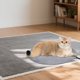 thumbnail image 2 of Almohadilla Térmica Para Cama Suave Y Cálida Para Mascotas Control Por Termostato Acogedora Alfombrilla Calefactora De Invierno Para Perros Y Gatos Calentador De Mascotas De Bajo Consumo, 2 of 6