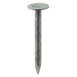Grip-Rite 7/8 in. Roofing Electro-Galvanized Steel Nail Flat Head 50 lb Grip-Rite 7/8 in. Roofing Electro-Galvanized Steel Nail Flat Head 50 lb