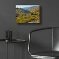 thumbnail image 5 of Epic Art 'Desert Ocotillo Landscape' by John Gavrilis, Acrylic Glass Wall Art, 16"x12", 5 of 8