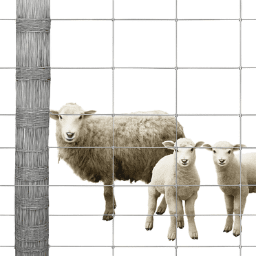 Riedhoff Cattle Fence Panels 4 ft x 328 ft, Galvanized Wire Fencing, Silver
