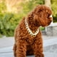 thumbnail image 3 of Xihbxyly Collar de Perlas para Perro, Hecho a Mano con Perlas Artificiales y Diamantes de Imitación, Cierre Ajustable para Un Ajuste Fácil, Elegante Collar Brillante, Joya para Cachorros para Fiestas, 3 of 6