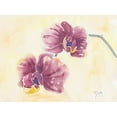 thumbnail image 2 of Dyer, Beverly 32x25 White Modern Wood Framed Museum Art Print Titled - Graceful Orchid, 2 of 4