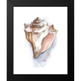thumbnail image 2 of Harper, Ethan 20x24 Black Modern Framed Museum Art Print Titled - Pastel Shell Collection I, 2 of 5