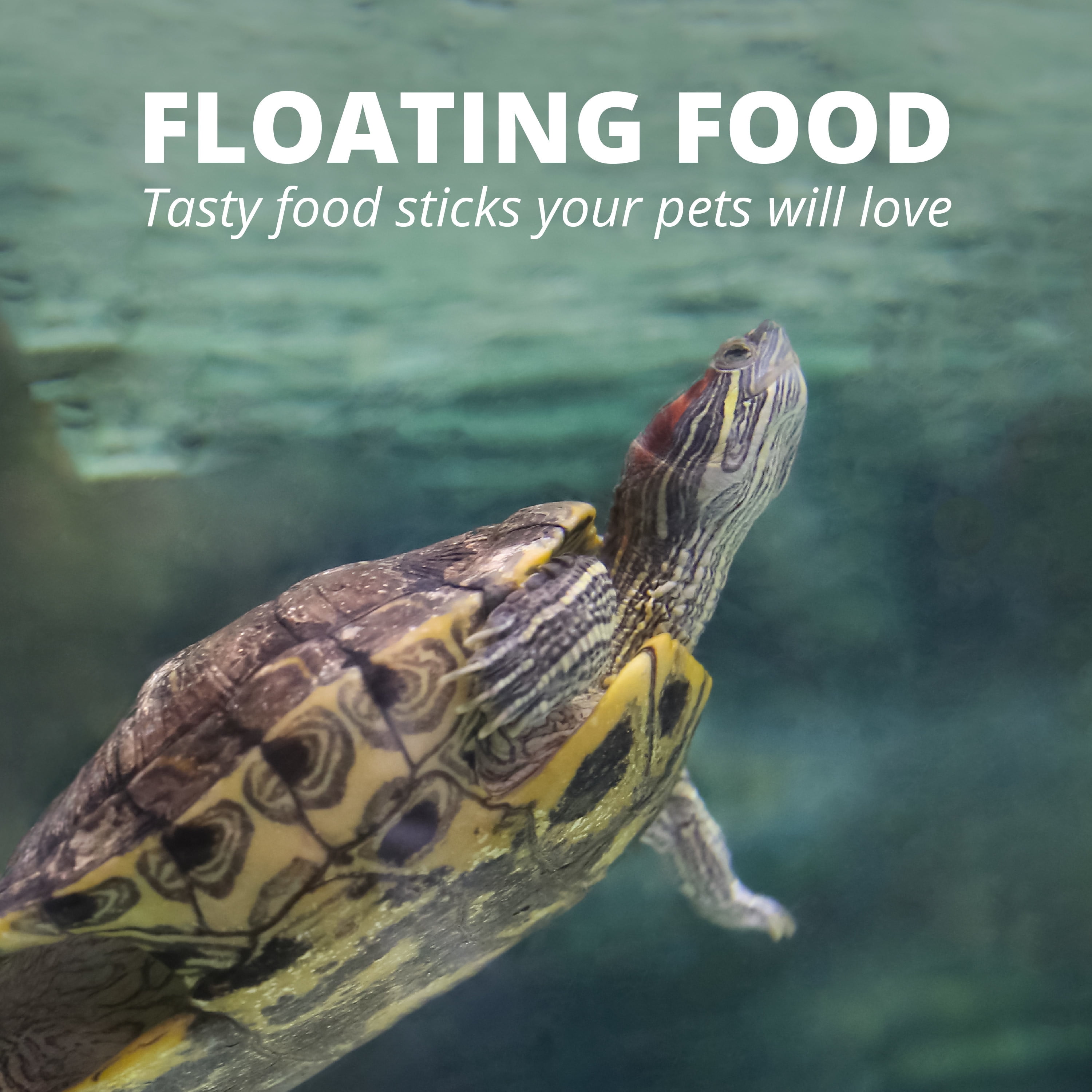 (2 pack) Tetra ReptoMin Floating Food Sticks for Aquatic Turtles, Newts and Frogs, 8.65 oz.