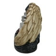 thumbnail image 5 of Gothic Grim Reaper With Angel Wings By Red Roses Salt And Pepper Shakers Holder, 5 of 9