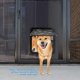 thumbnail image 3 of Puerta mosquitera para perros Ownpets CHAO con cerradura 24 cm de ancho x 29 cm de alto, 3 of 5