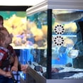 thumbnail image 4 of Raindrops 6Pcs Aquarium Temperature Gauges Adhesive White Sticker Strip for Accurate Fish Tank Monitoring, 4 of 6