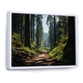thumbnail image 2 of Designart "Redwood National Park Exploring the Forest III" Landscapes Floater Framed Wall Art Living Room, 2 of 7