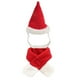 thumbnail image 1 of Capas y sombreros navideños para mascotas, trajes festivos. Los perros se transforman en disfraces navideños., 1 of 5