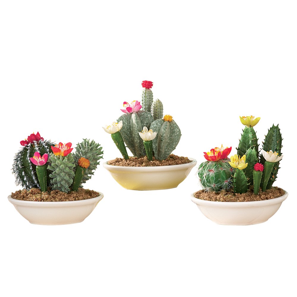 Set of 3 Faux Fake Flowering Cactus Plants in Pots
