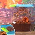 thumbnail image 2 of Caja de alimentación de tanque de reptiles jinwen Plástico, 2 of 8