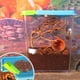 thumbnail image 2 of Caja de Alimentación de Reproducción Plástico para y Anfibios - re Yinane Caja de alimentación de tanque de reptiles, 2 of 8