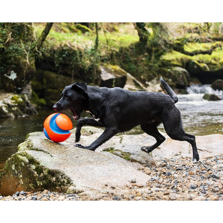 Dog toys with Nike Grind