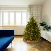 National Tree Company Pre-Lit Artificial Mini Christmas Tree, Green, Dunhill Fir, Clear Lights, Includes Stand, 4 Feet