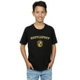 thumbnail image 2 of Harry Potter Boys Hufflepuff Crest T-Shirt, 2 of 3